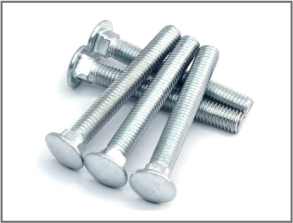 Carriage Bolts