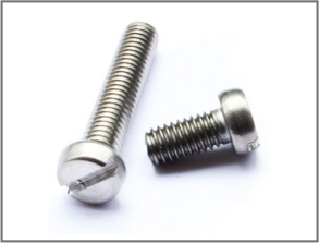 Slotted Cheese Head Screws